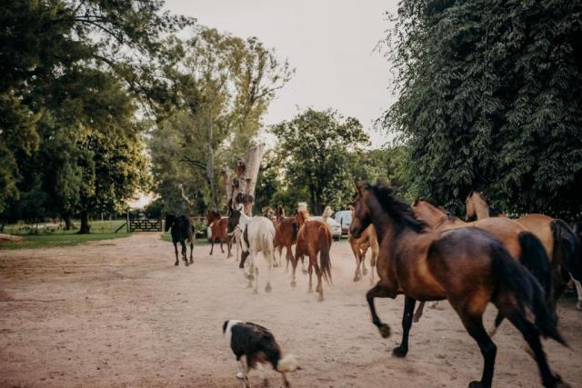 Estancia La Mimosa